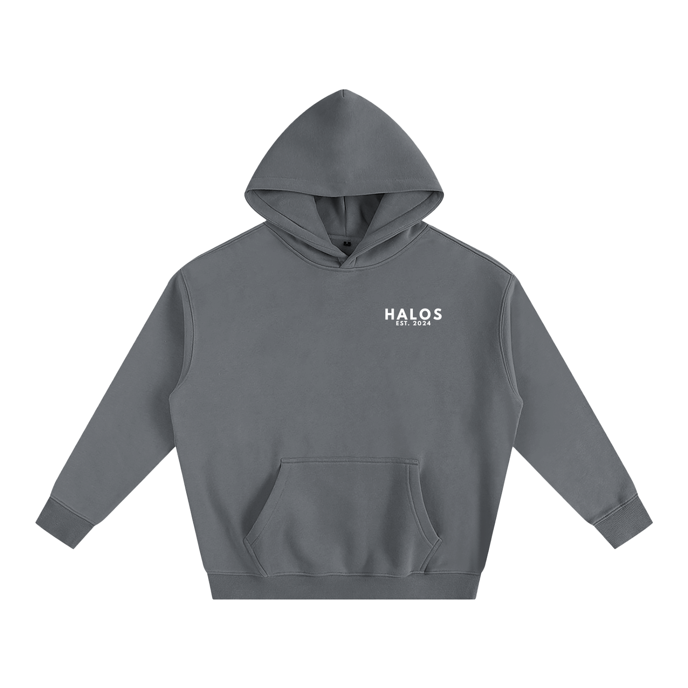 Proverbs 3:15 | Oversize Fleeced Hoodie