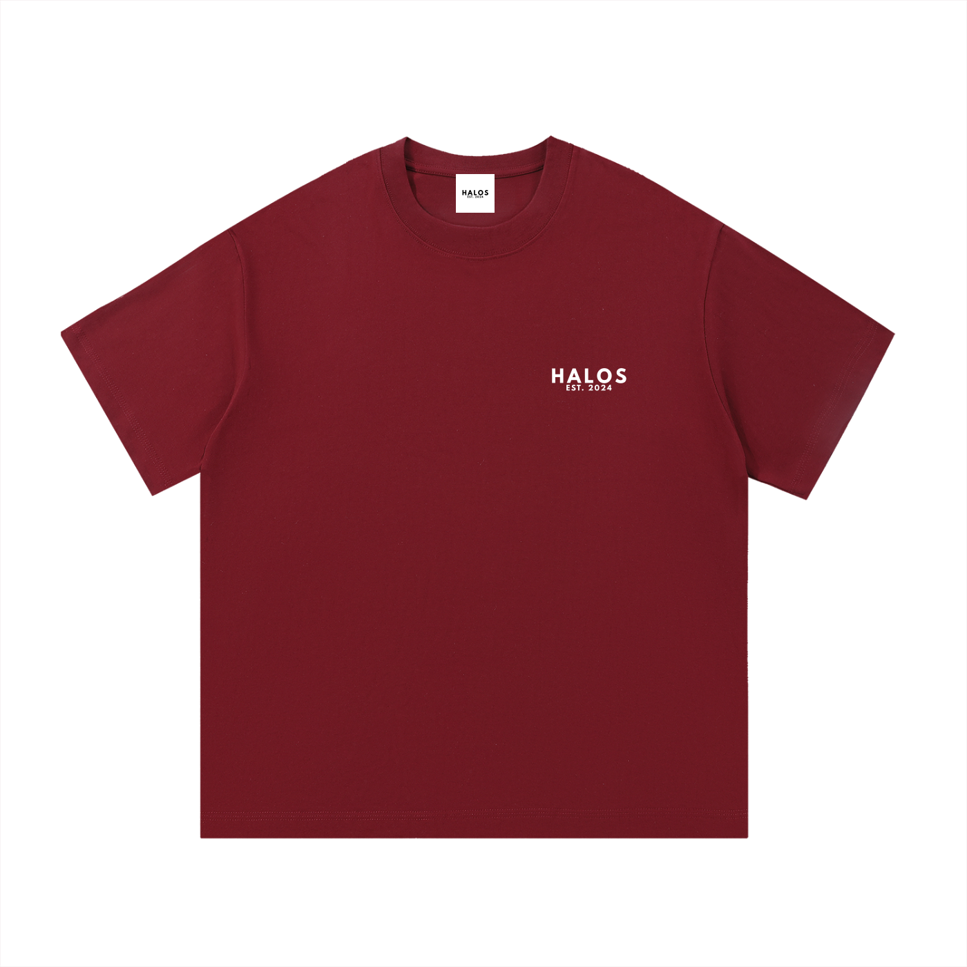 STAY FIRM IN CHRIST T-SHIRT