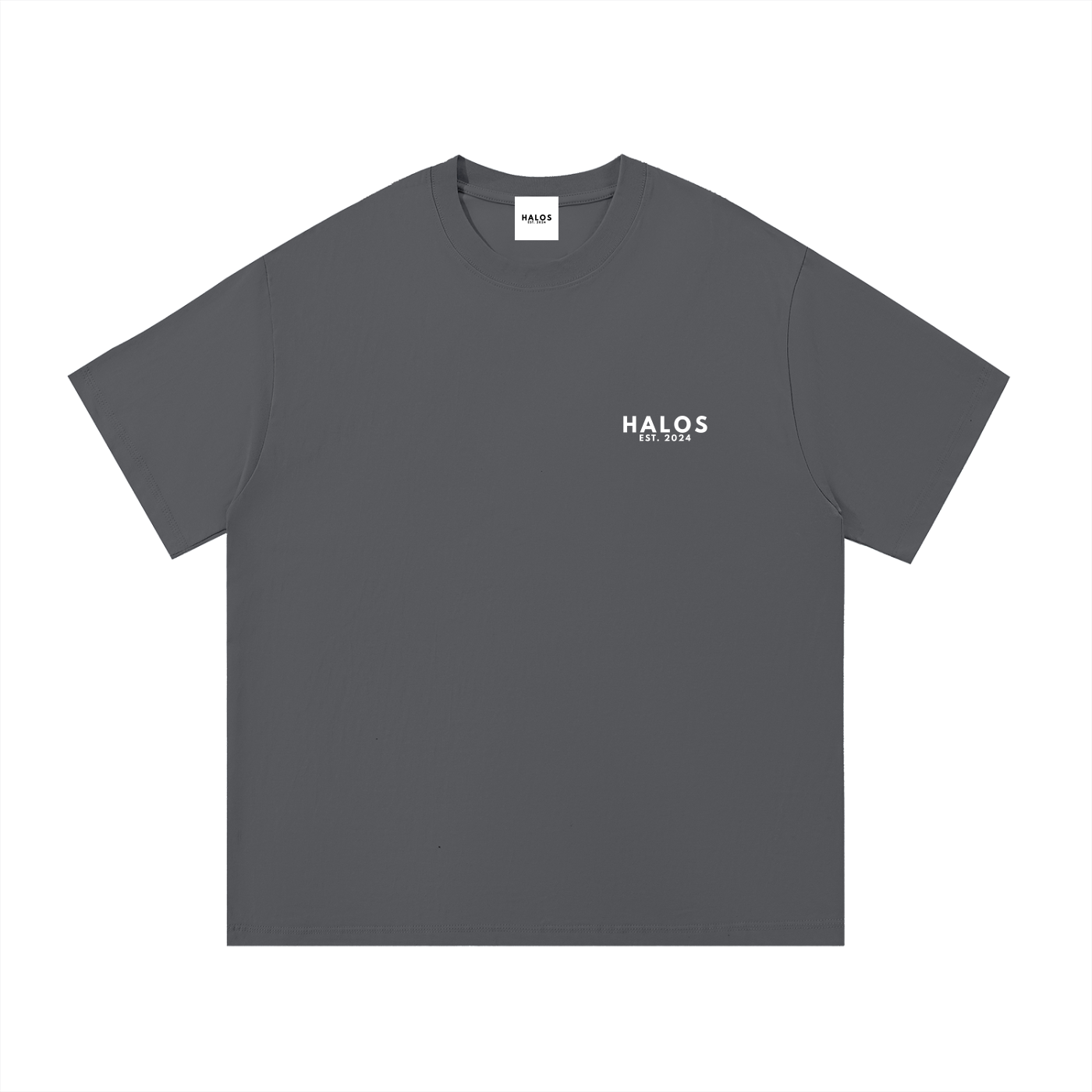 STAY FIRM IN CHRIST T-SHIRT