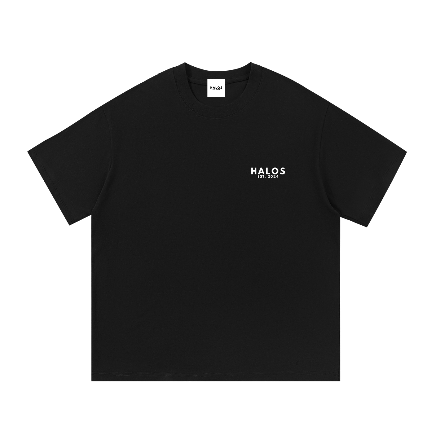 STAY FIRM IN CHRIST T-SHIRT