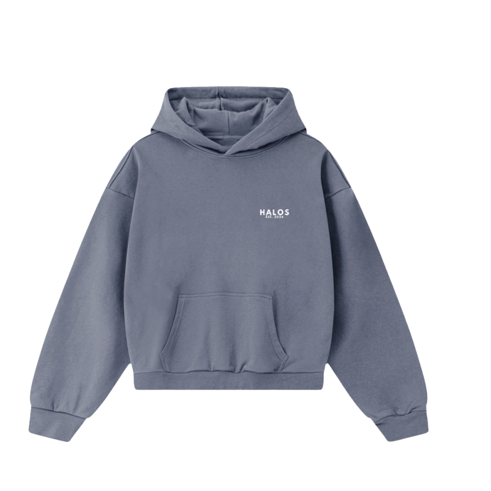 JESUS SAVES hoodie