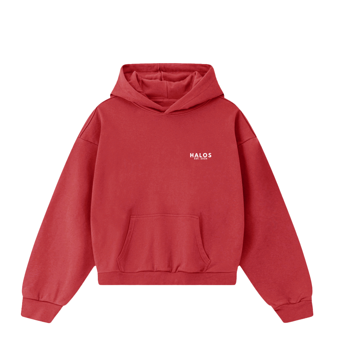 JESUS SAVES hoodie