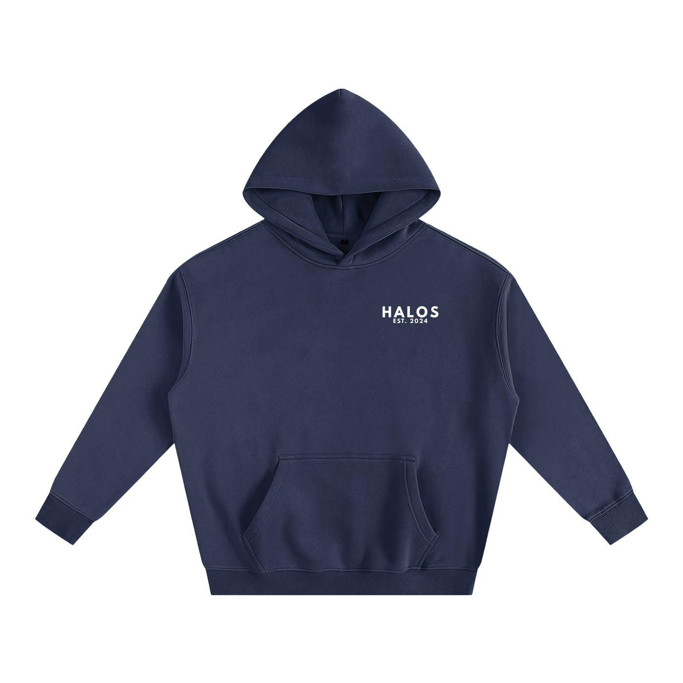 PROVERBS 3:15 | Oversize Fleeced Hoodie