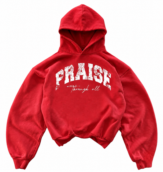 PRAISE hoodie