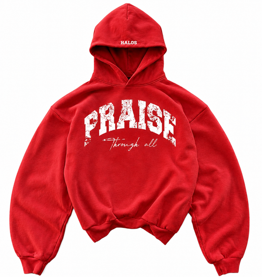 PRAISE hoodie